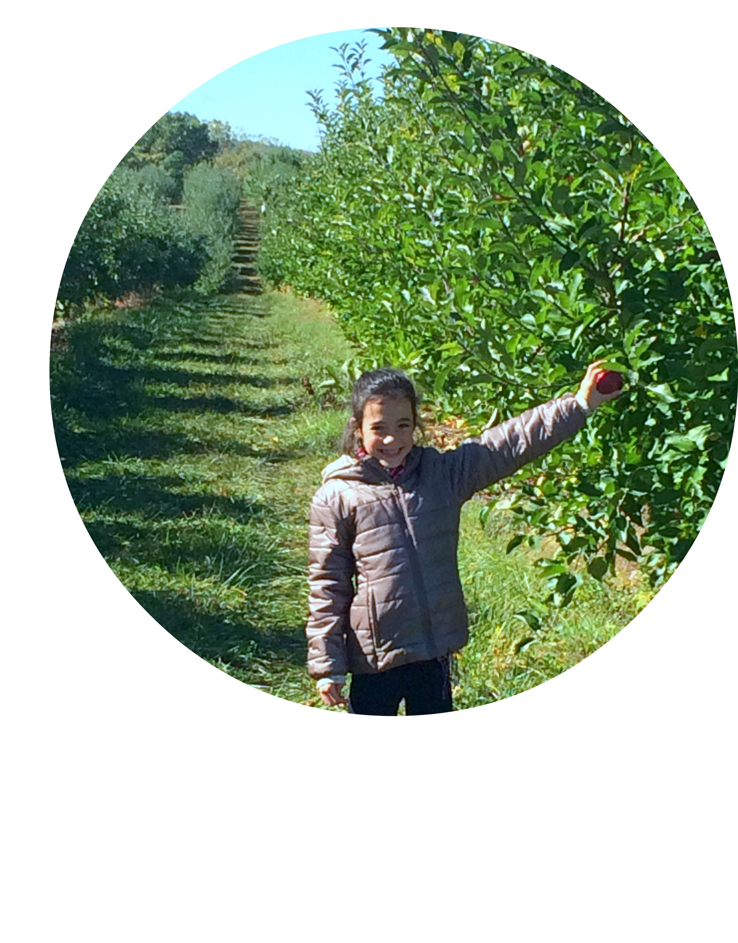 sloaneapple